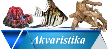 akvaristika